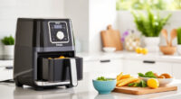 Summer Snack Hacks with the Ninja Foodi 10 Quart Air Fryer