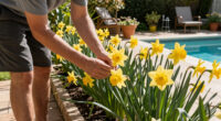 This Daffodil Is Quietly Replacing Classic Yellow Varieties – It’s Fragrant, Long-Lived, And Hardy
