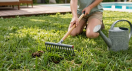 Why Your Lawn Is Full Of Crabgrass And How To Stop It From Taking Over The Whole Yard