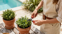 16 Stylish And Practical Pruning Shear Holsters To Keep Tools Safe And Close At Hand