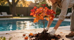 3 Of The Best Autumn-flowering Trees To Plant In October For Gorgeous Displays