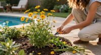 How To Prepare Coreopsis Flowers For Winter