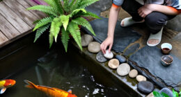 Jennifer Aniston’s Koi Pond Is The Dreamy Garden Luxury You Can Copy On A Small Scale – Fish Optional