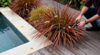 Ornamental Grasses Bring Fiery Fall Color And Soothing Textures To Your Garden – We've Found 16 Of The Best