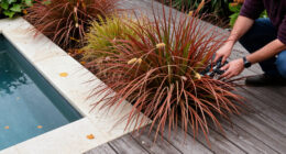 Ornamental Grasses Bring Fiery Fall Color And Soothing Textures To Your Garden – We've Found 16 Of The Best