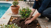 Plant These 7 Compact Flowering Shrubs This Fall For Stunning Spring Blooms In Even The Smallest Yards