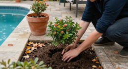 Plant These 7 Compact Flowering Shrubs This Fall For Stunning Spring Blooms In Even The Smallest Yards