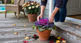 This Colorful Fall Porch Plant Looks Beautiful Long After Your Mums Have Faded – And It's Frost Hardy, Too