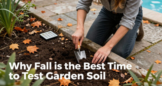 Why Fall Is The Best Time To Test Garden Soil
